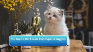 The Top 10 Cat Feasts That Experts Suggest